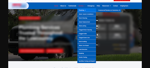 client's website